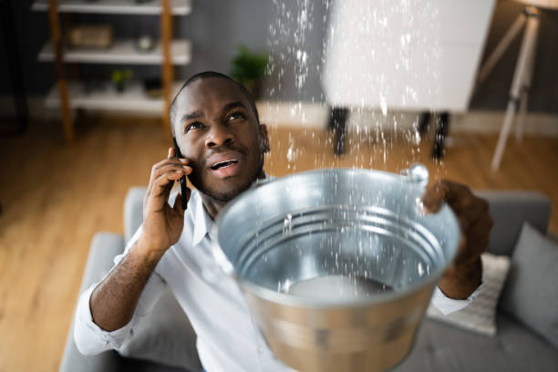 Best Water damage restoration near me  in Atlantic, IA