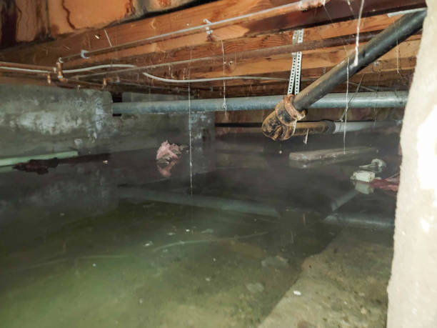 Best Emergency water damage restoration  in Atlantic, IA