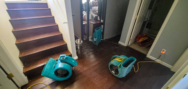 Best Water damage restoration insurance claims  in Atlantic, IA