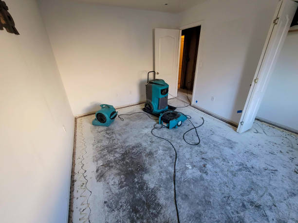 Best Water damage contractors near me  in Atlantic, IA