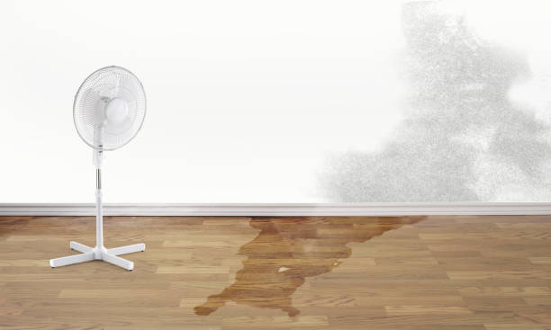 Best Commercial water damage restoration  in Atlantic, IA