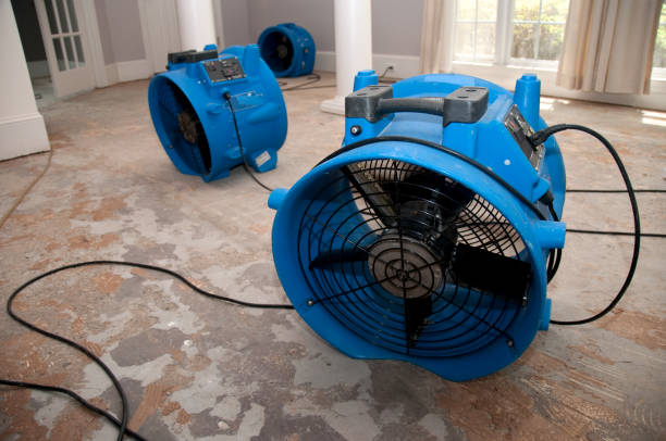 Best 24-hour water damage restoration  in Atlantic, IA