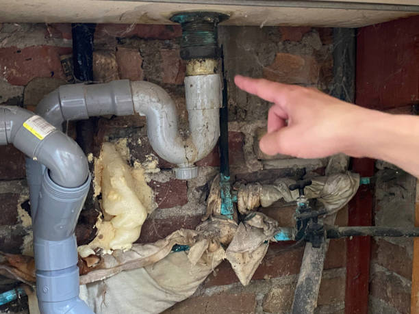 Best Water damage cleanup near me  in Atlantic, IA