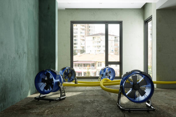 Best Water damage restoration experts  in Atlantic, IA