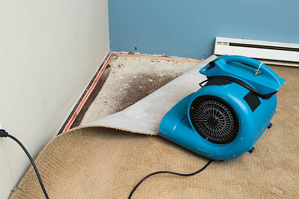 Best Ceiling water damage repair  in Atlantic, IA